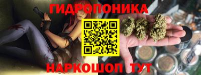 spice Пушкино